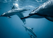 MK体育下载：让热爱运动的人随时随地拥有自己的专属体育频道